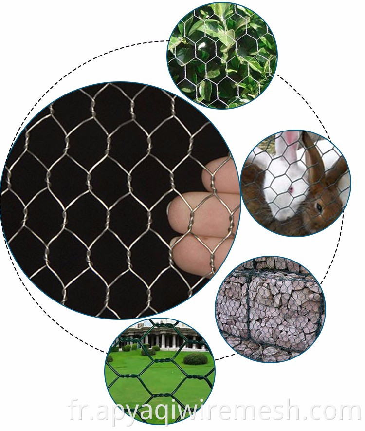 1/2 "Galvanisé Fence Fence Hexagonal Fil Mesh Poulet Maux